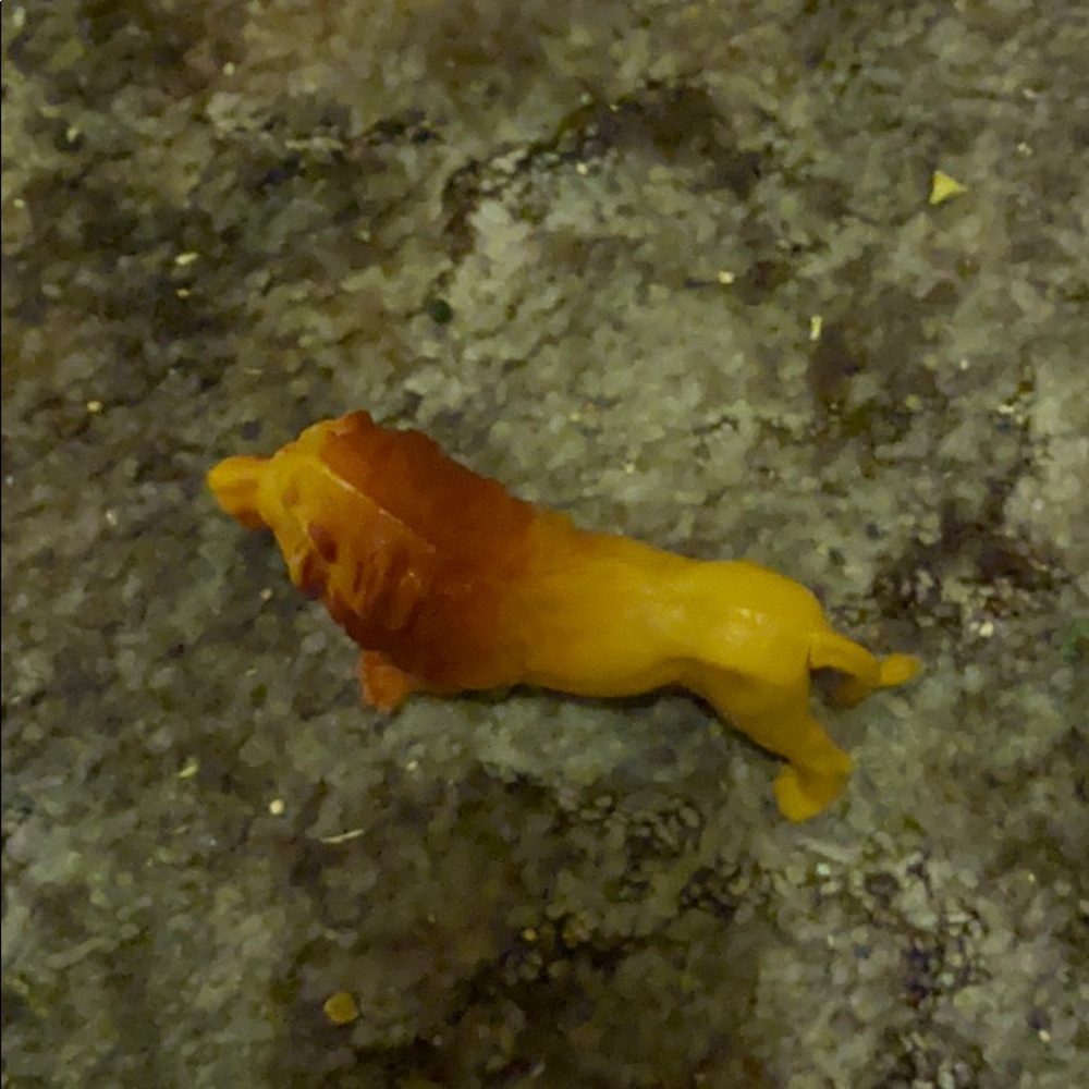 Tiger figuring. - Picture 9 of 9